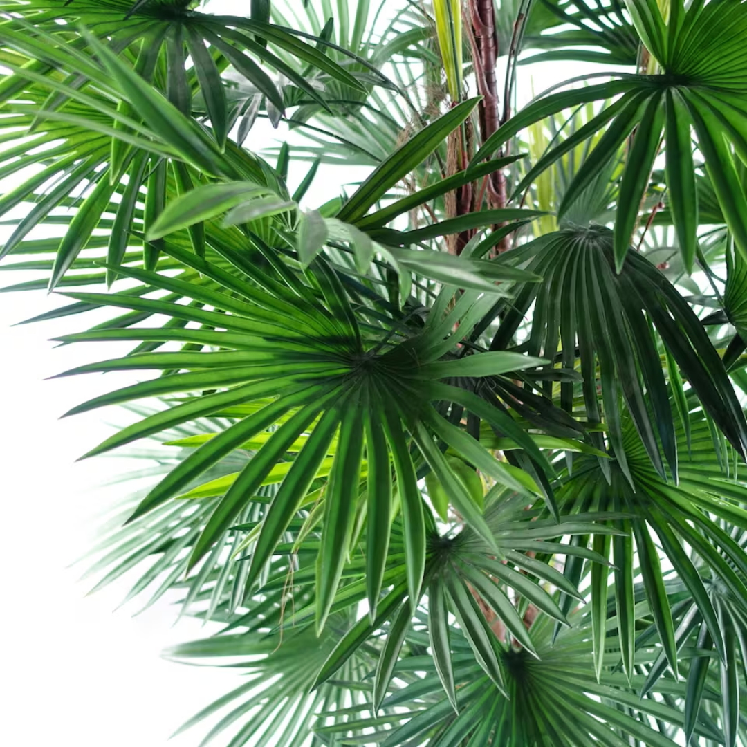 Umjetna palma Bamboo – 120 cm